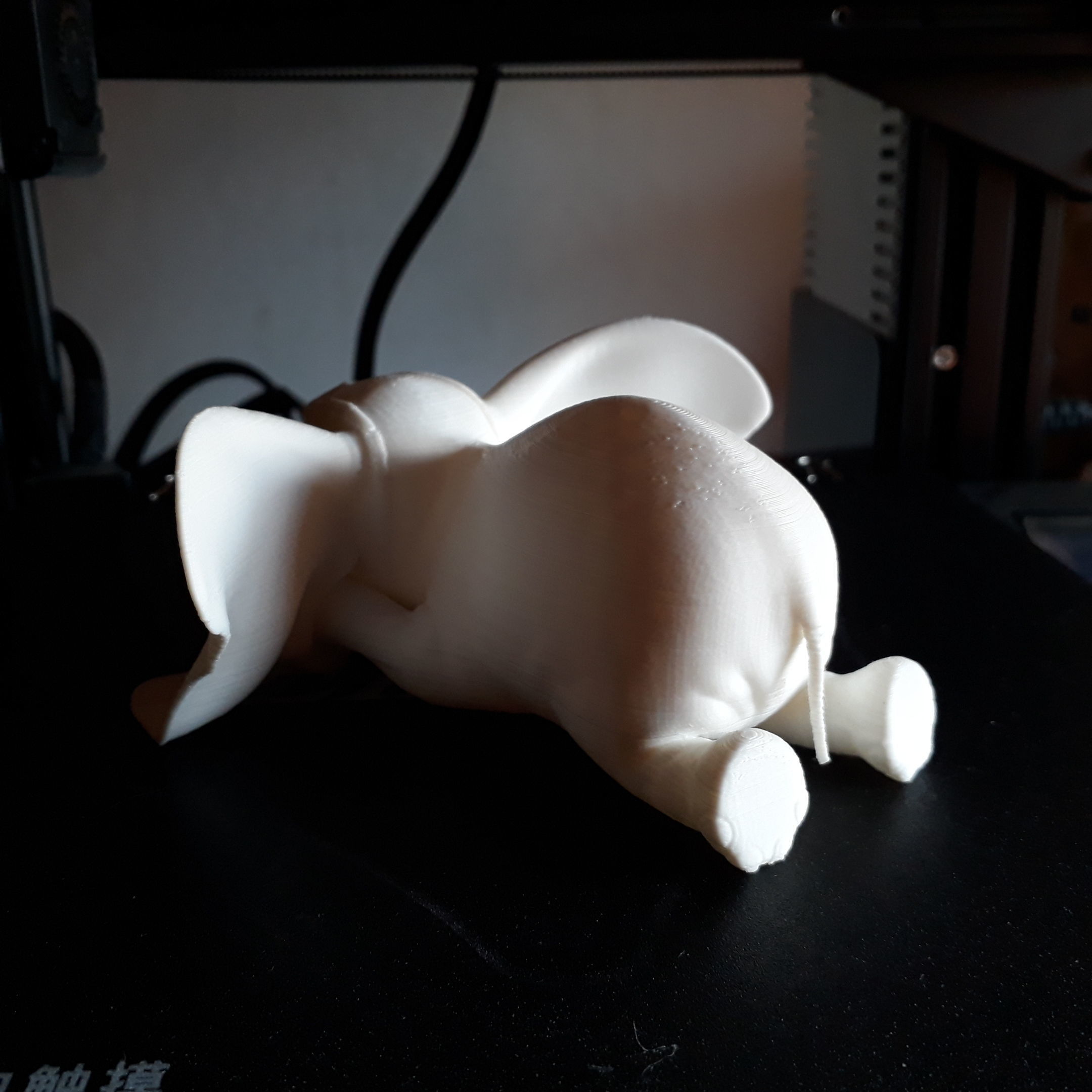 Baby Dumbo 3D print model_11