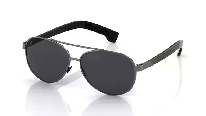 Eyeglasses for Men and Women 3D print model