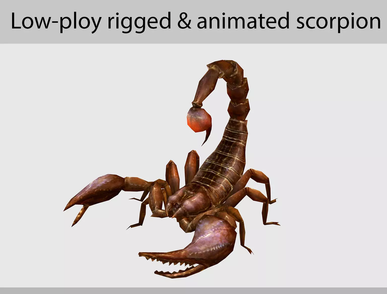 animated scorpion Low-poly 3D model