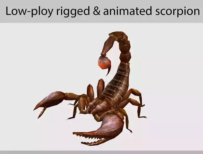 animated scorpion  Low-poly 3D model