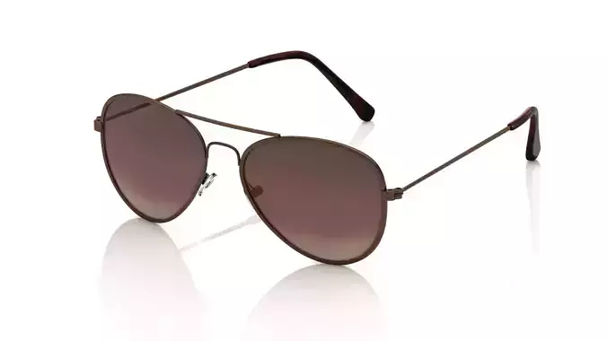 Eyeglasses for Men and Women 3D print model
