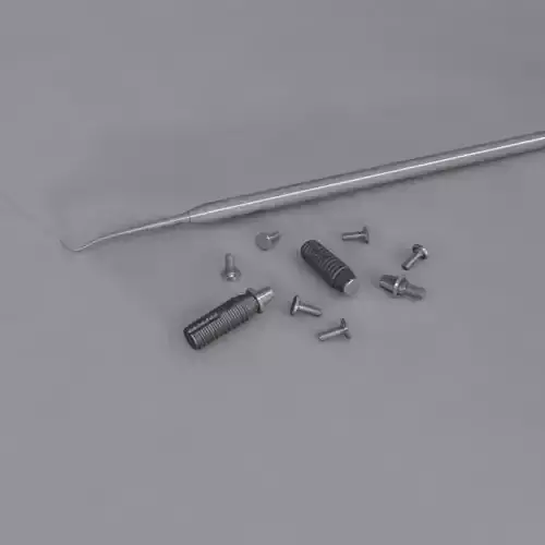 Dental implants set
