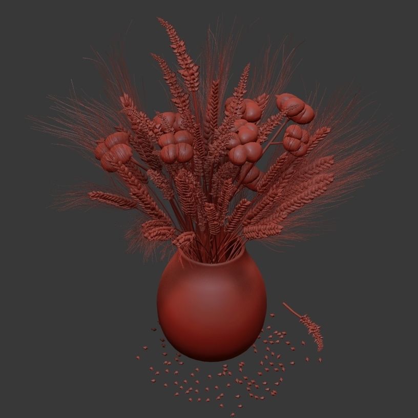 Dried flowers of cotton rye and lavender 3D model_5