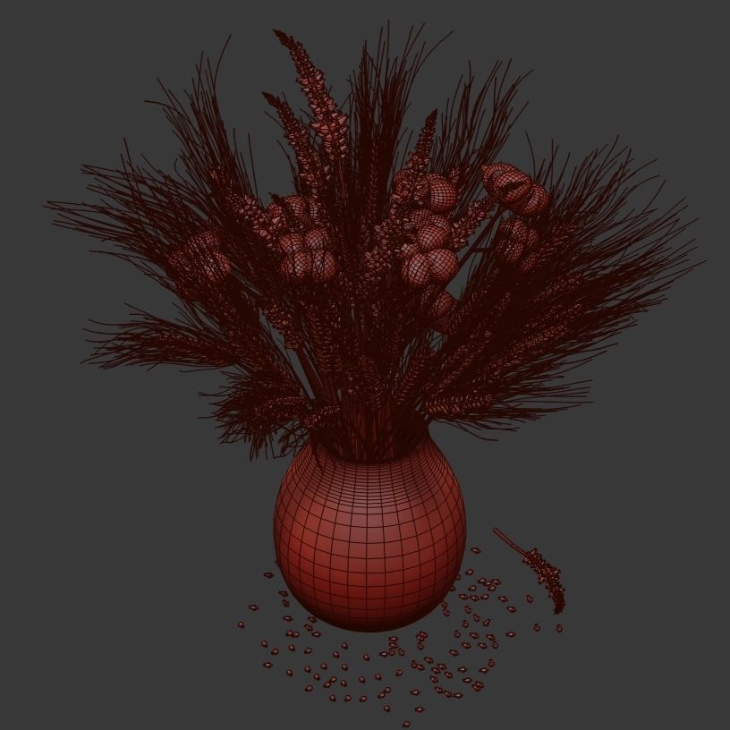 Dried flowers of cotton rye and lavender 3D model_4