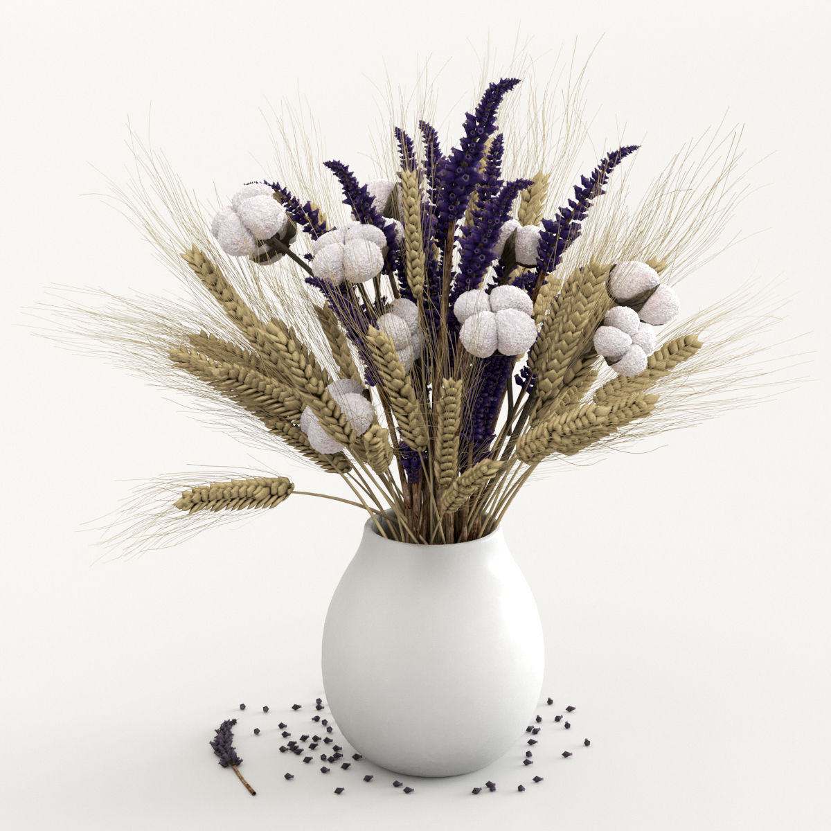 Dried flowers of cotton rye and lavender 3D model_1