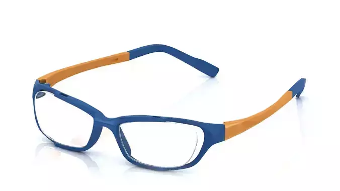 Eyeglasses for Men and Women 3D print model