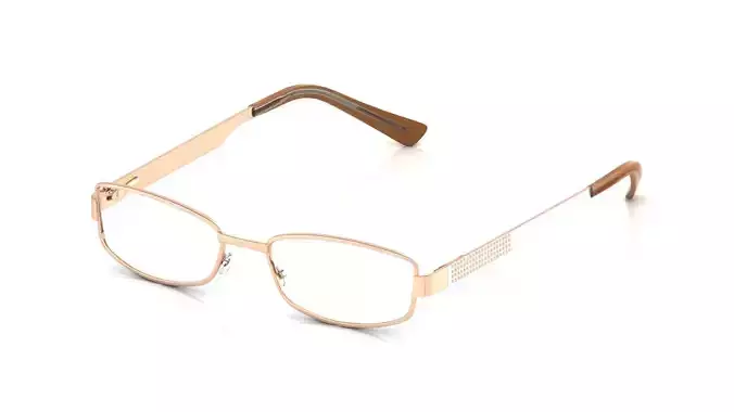 Eyeglasses for Men and Women 3D print model