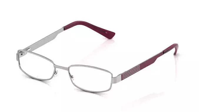 Eyeglasses for Men and Women 3D print model