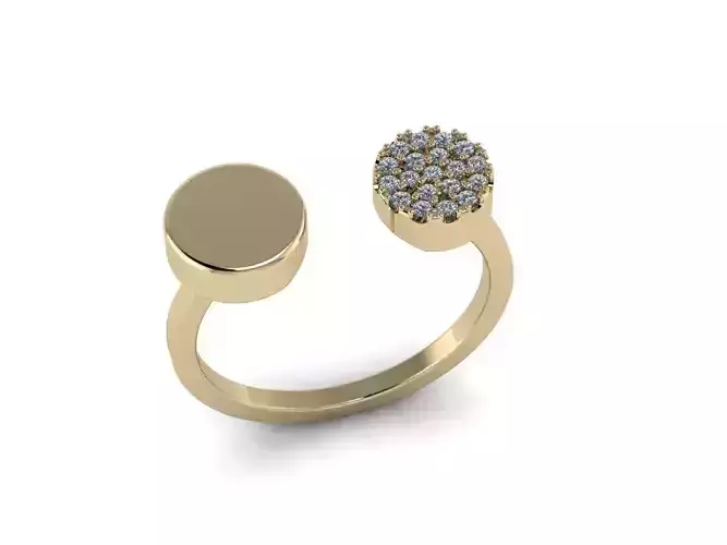 Jewelry Ring