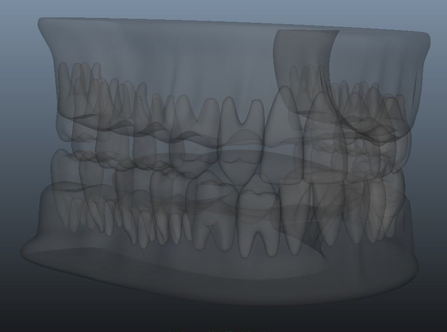 Human Jaw 3D model_6