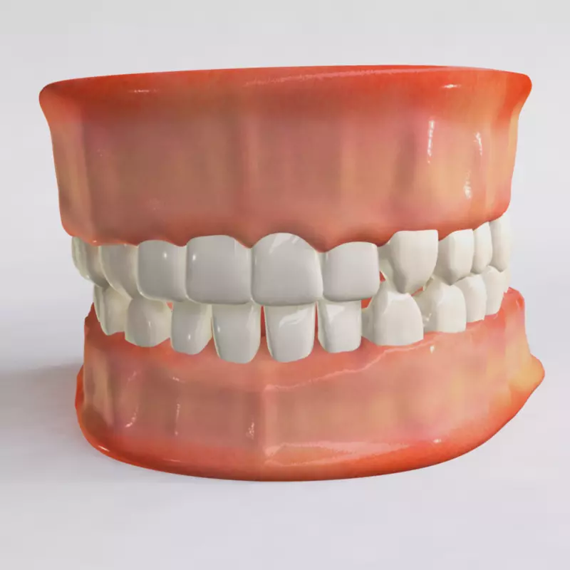 Human Jaw 3D model_0