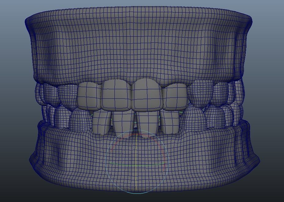Human Jaw 3D model_3