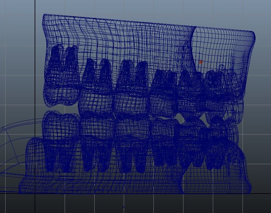 Human Jaw 3D model_5