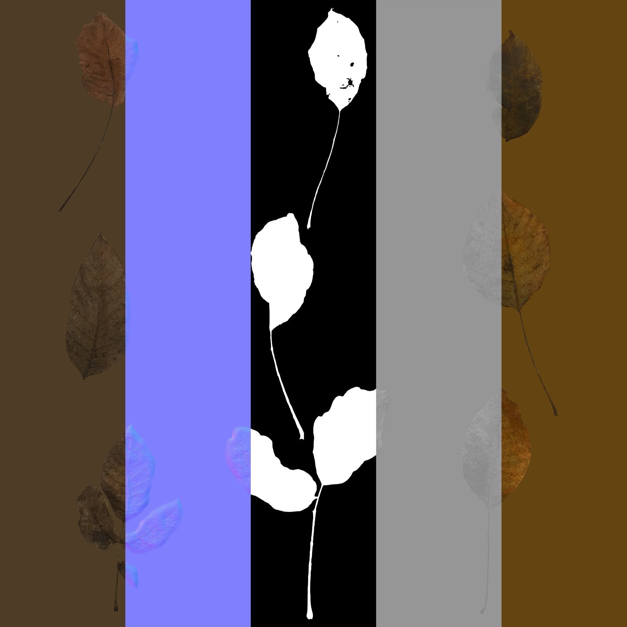 Dry Walnut Leaves Pack Low-poly 3D model_14