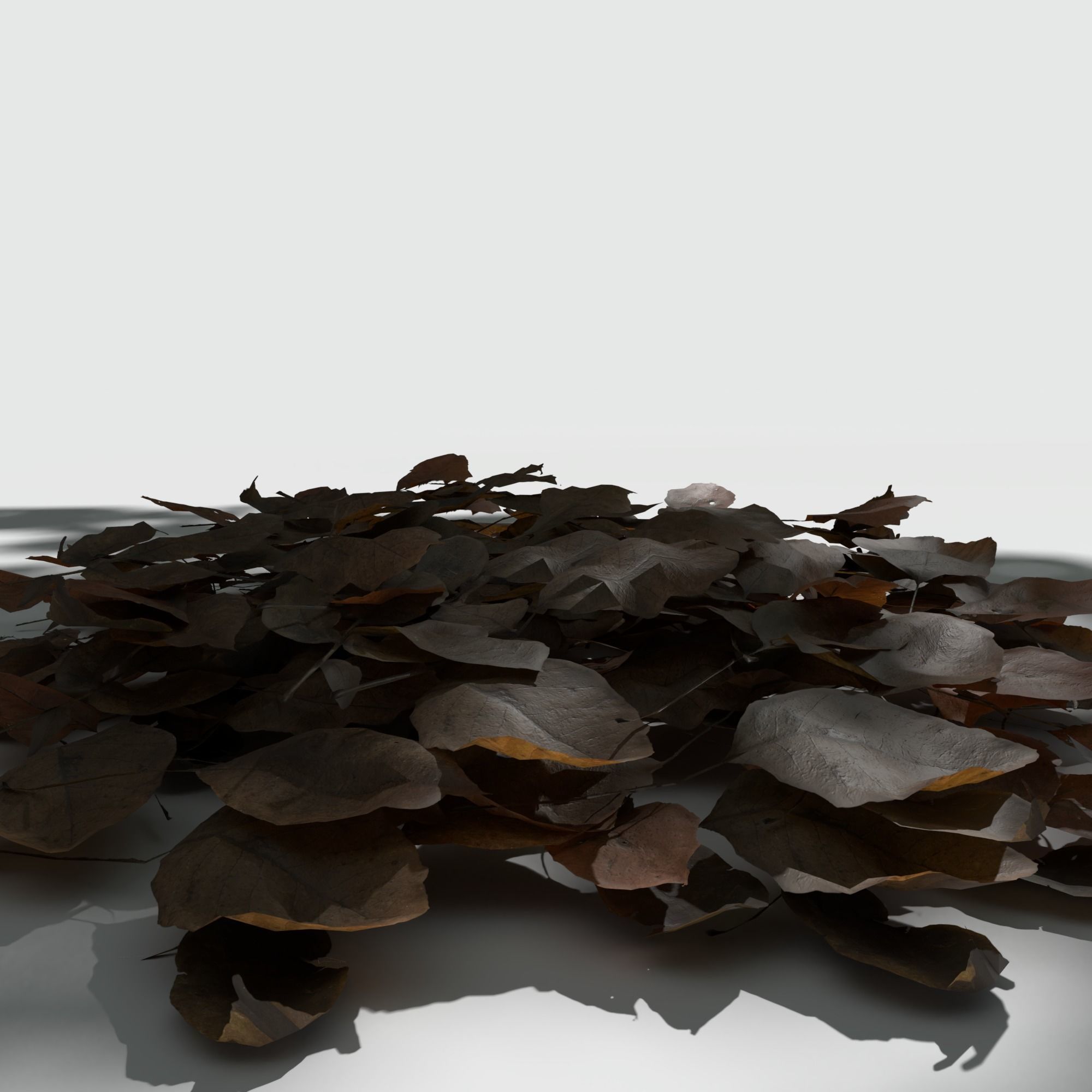 Dry Walnut Leaves Pack Low-poly 3D model_4