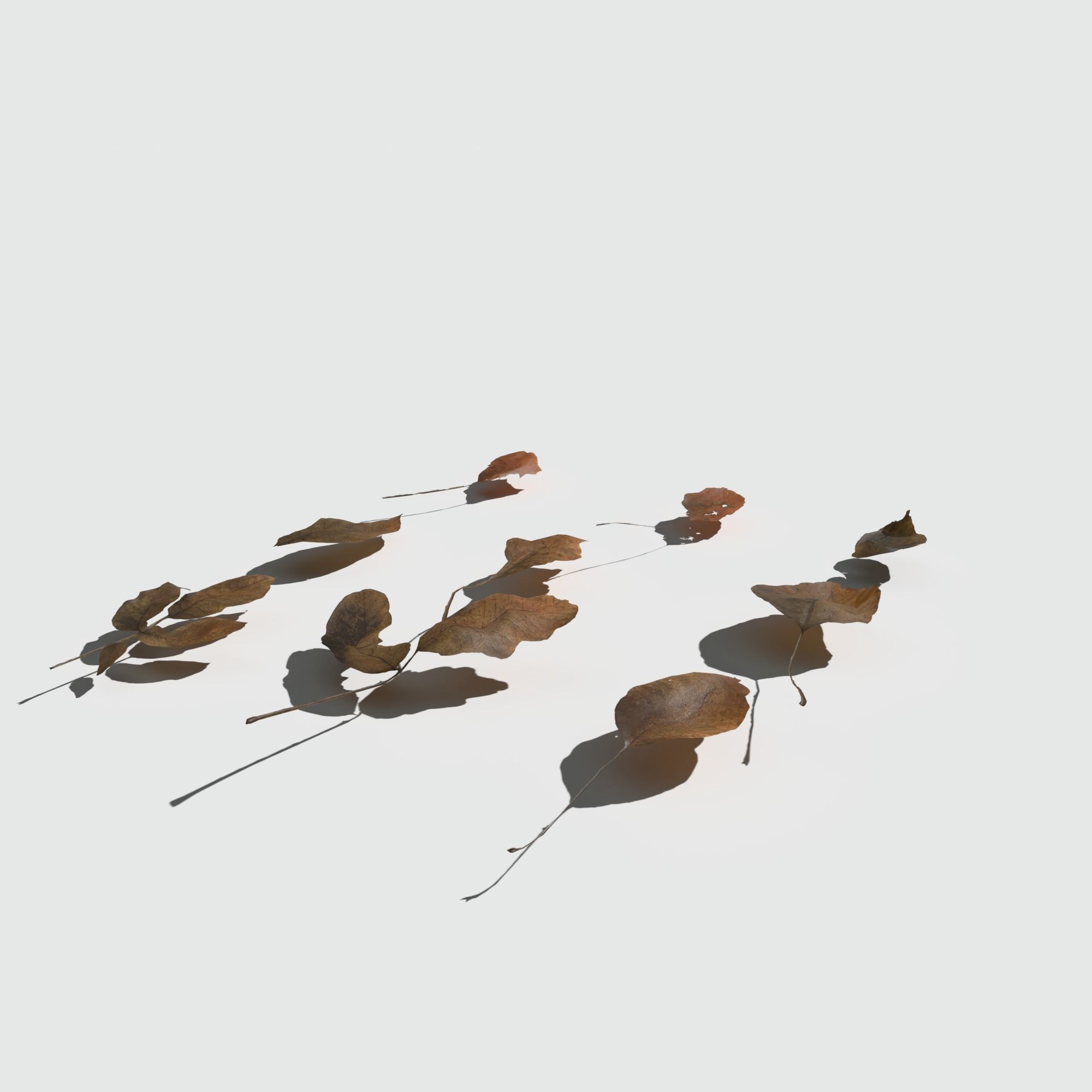 Dry Walnut Leaves Pack Low-poly 3D model_13