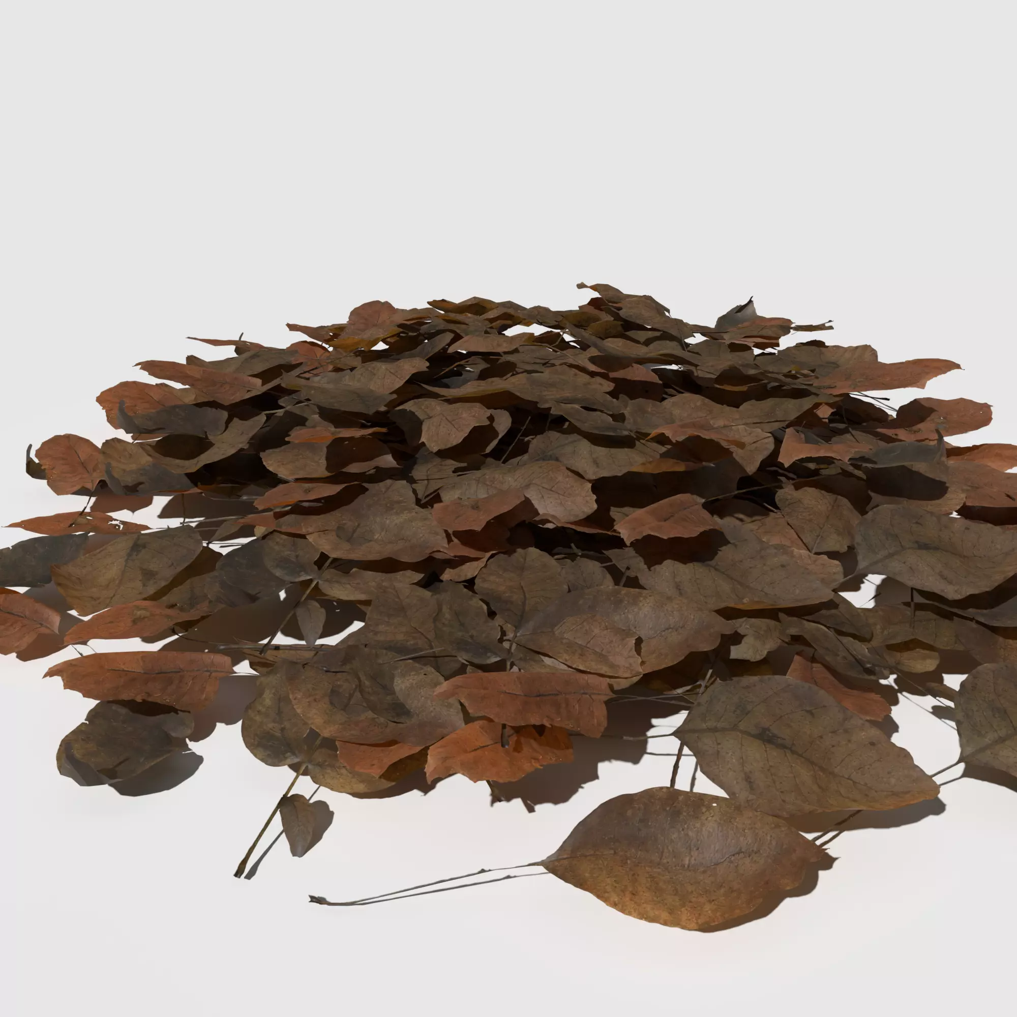 Dry Walnut Leaves Pack Low-poly 3D model_0