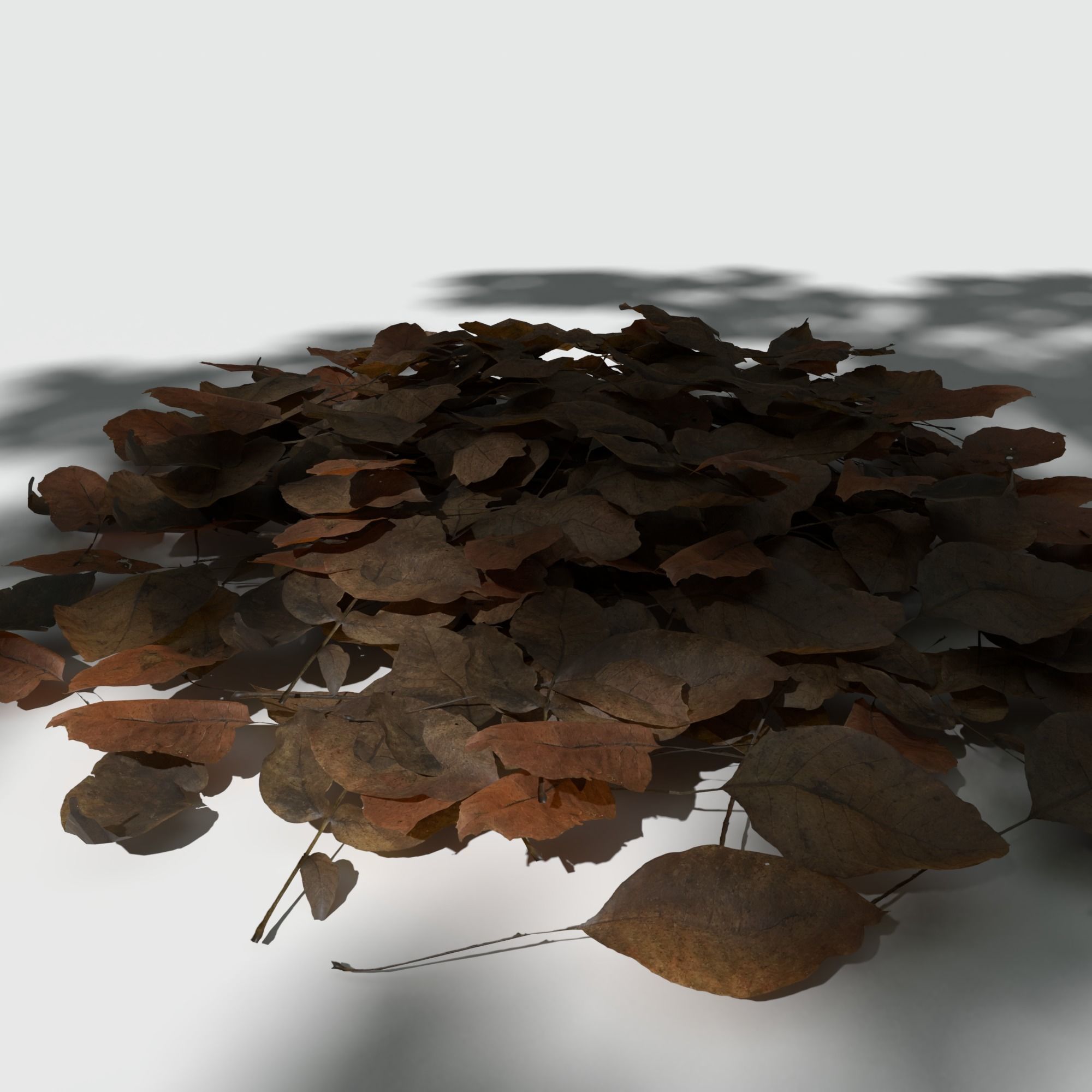 Dry Walnut Leaves Pack Low-poly 3D model_1