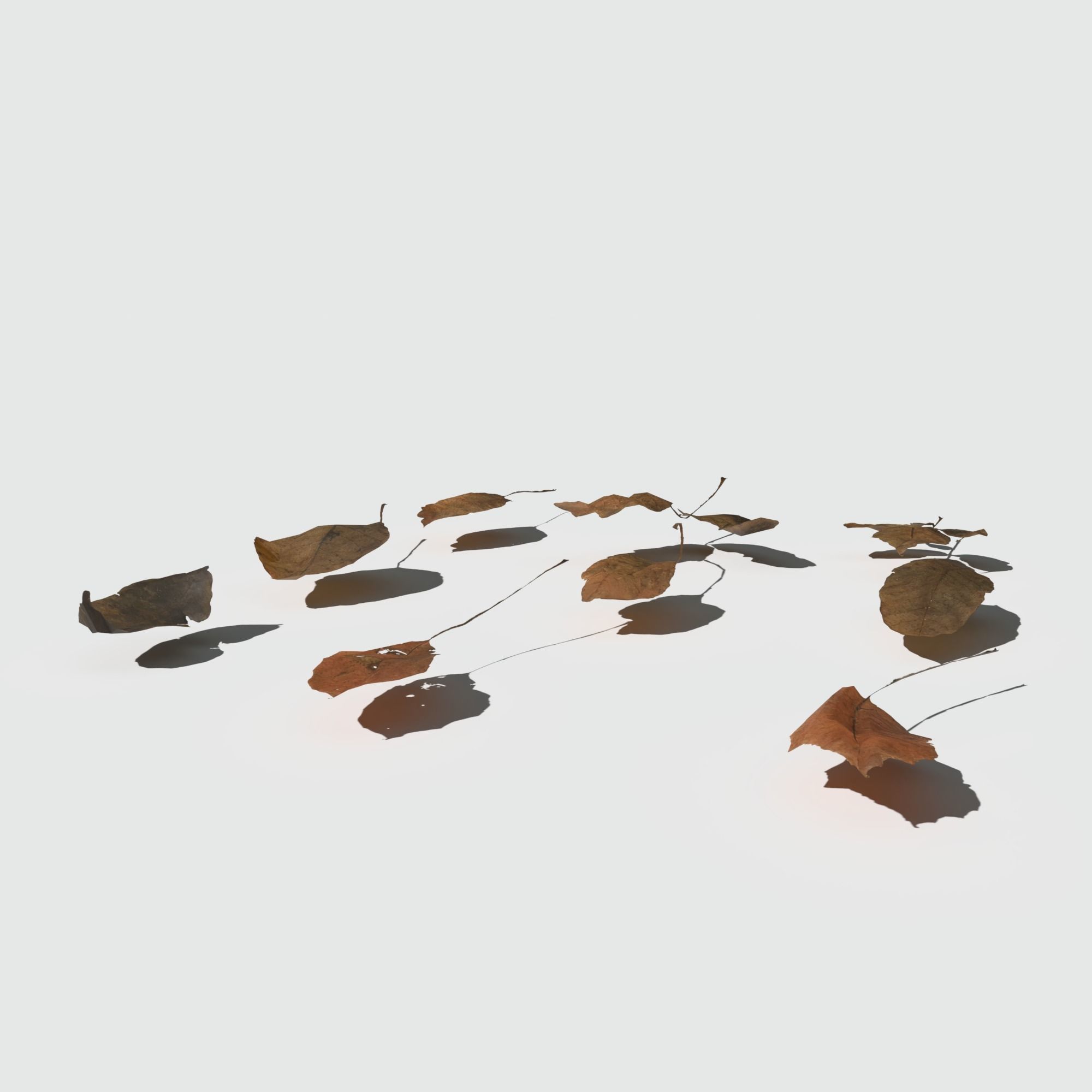 Dry Walnut Leaves Pack Low-poly 3D model_11