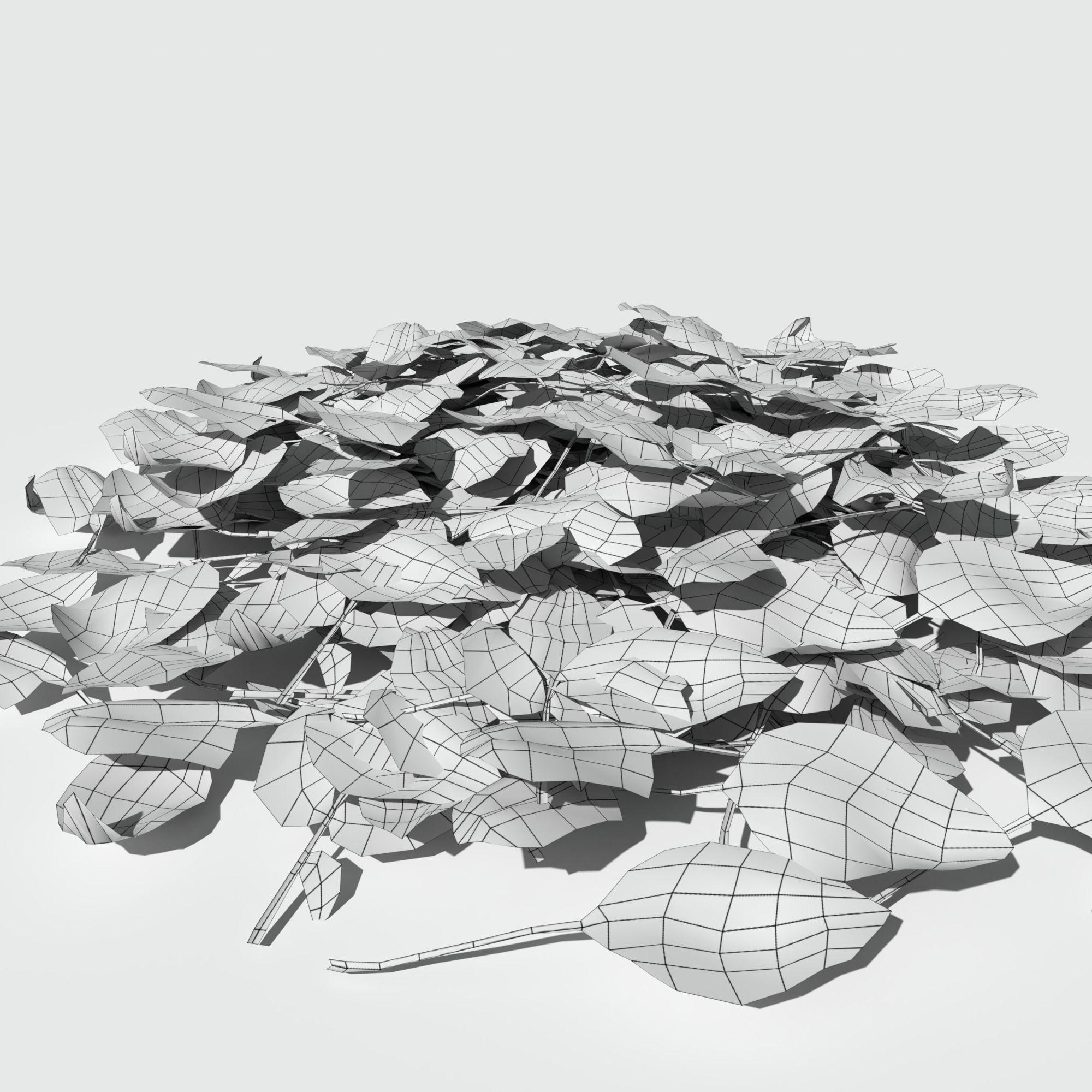 Dry Walnut Leaves Pack Low-poly 3D model_2