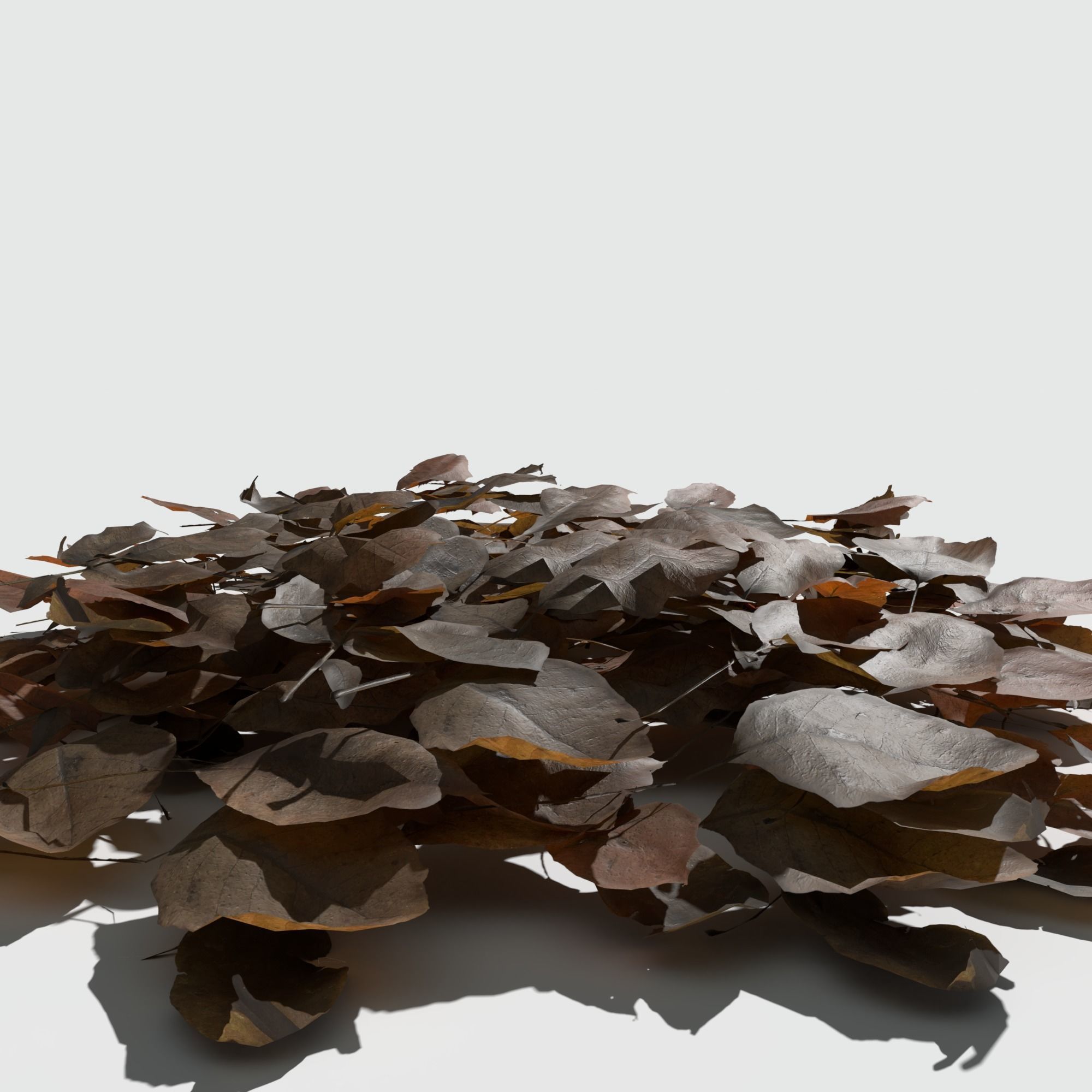Dry Walnut Leaves Pack Low-poly 3D model_3