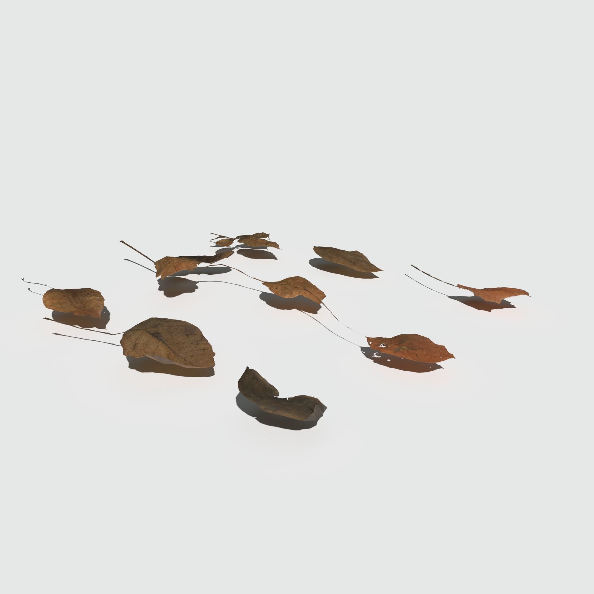 Dry Walnut Leaves Pack Low-poly 3D model_12