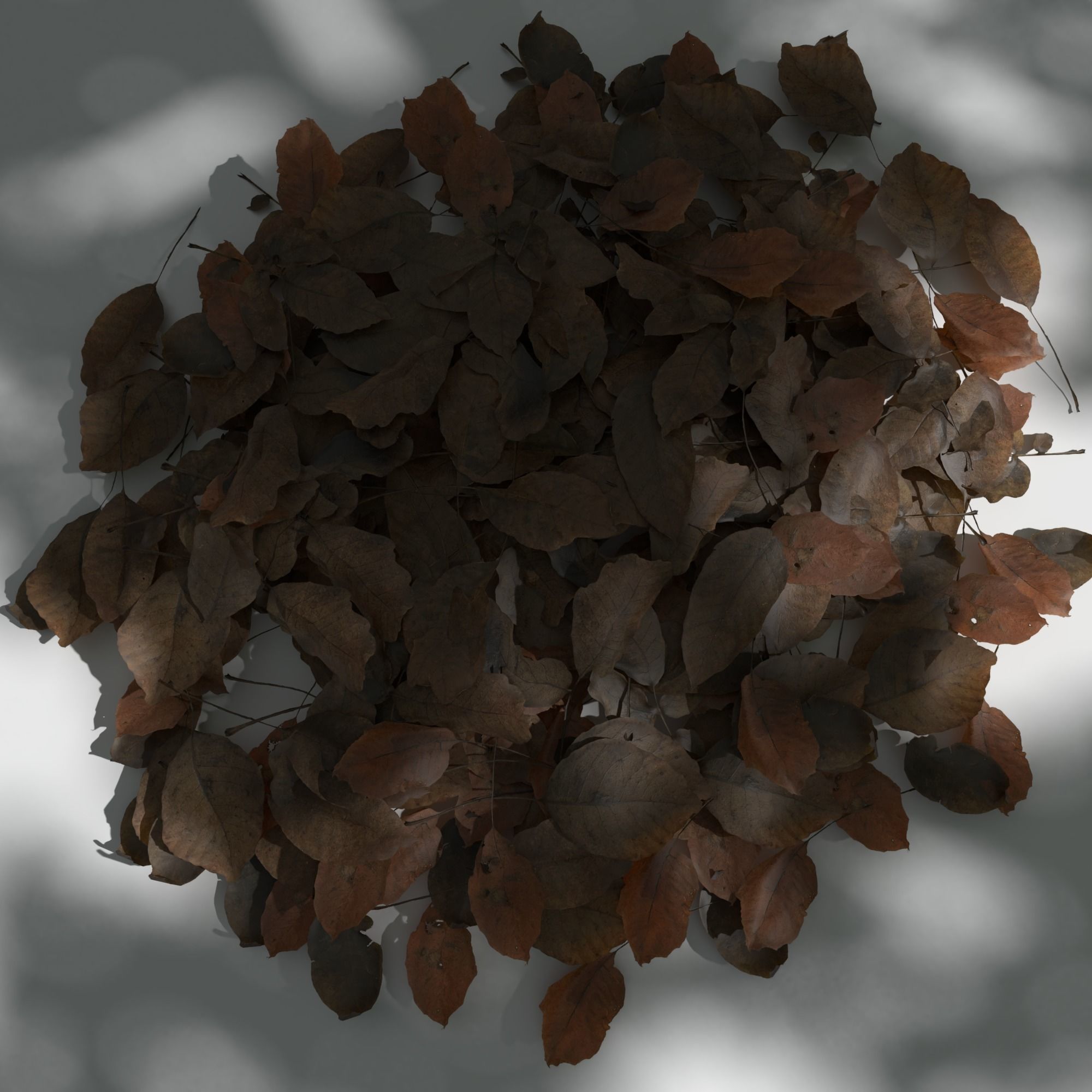Dry Walnut Leaves Pack Low-poly 3D model_7