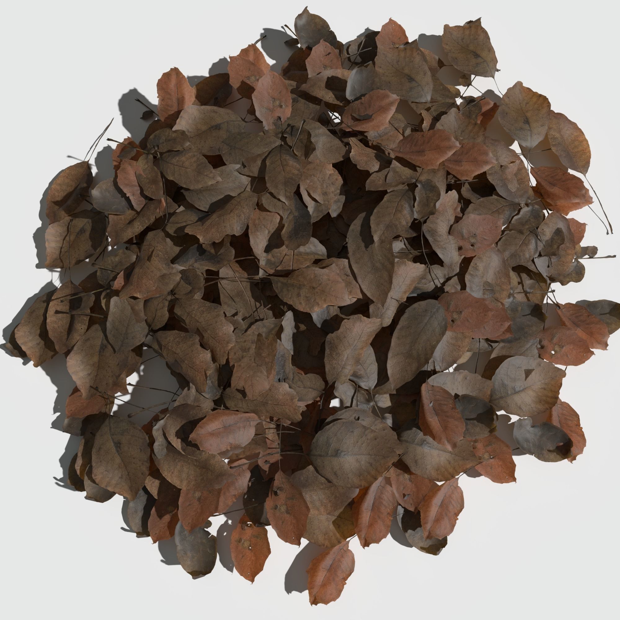 Dry Walnut Leaves Pack Low-poly 3D model_6