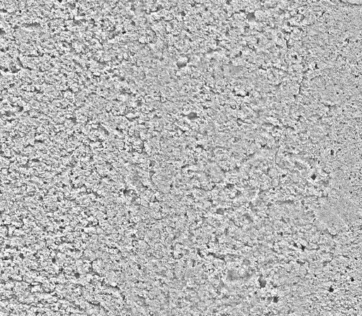 Concrete texture 01 Texture_23