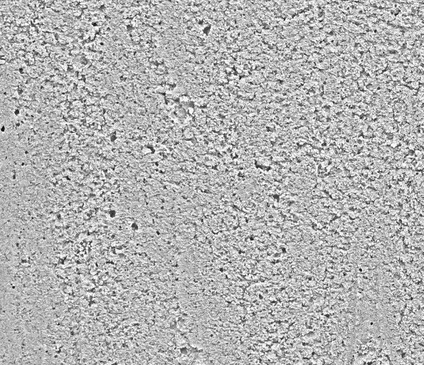 Concrete texture 01 Texture_24