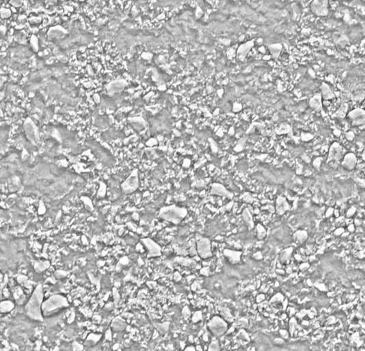 Concrete texture 02 Texture_21