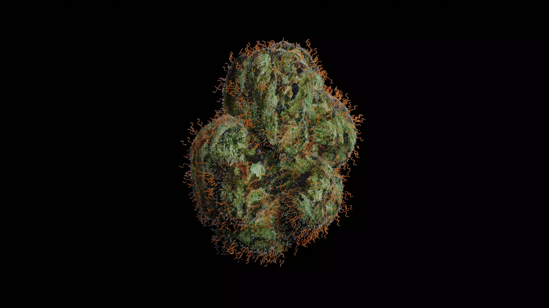 Weed Bud Free 3D model