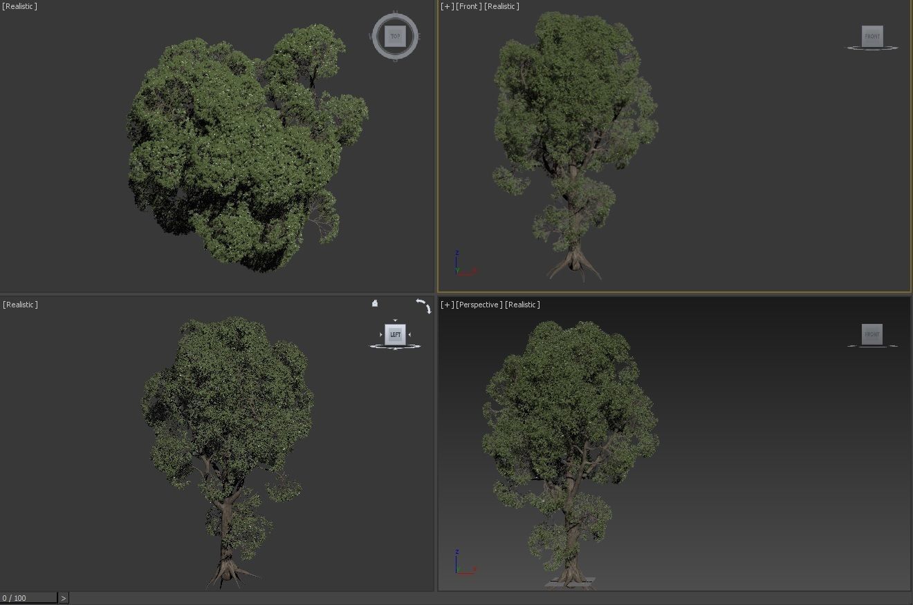 Tree Oak 3D model_2