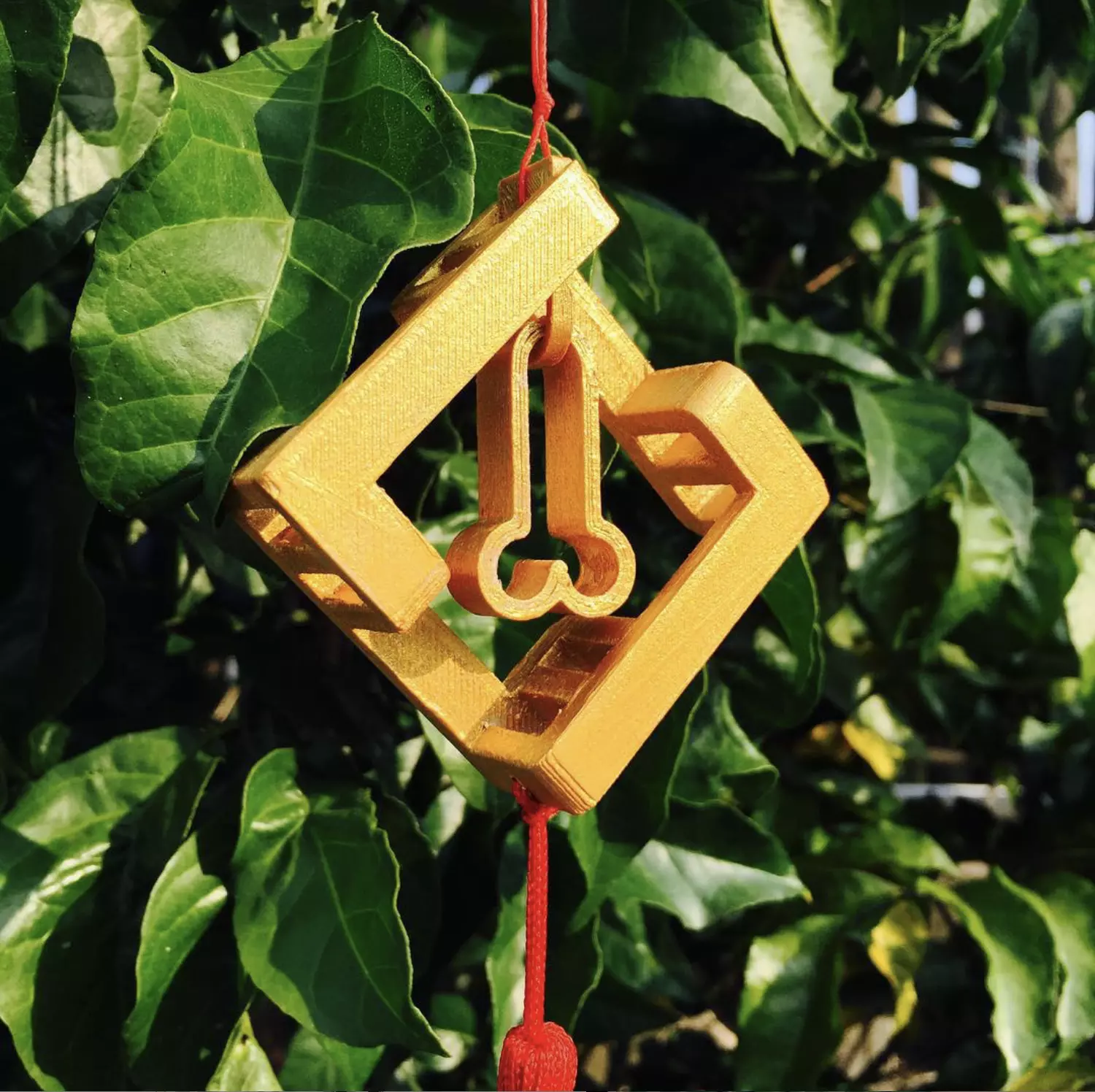 Fxxk Chinese New Year hanger 3D print model_0