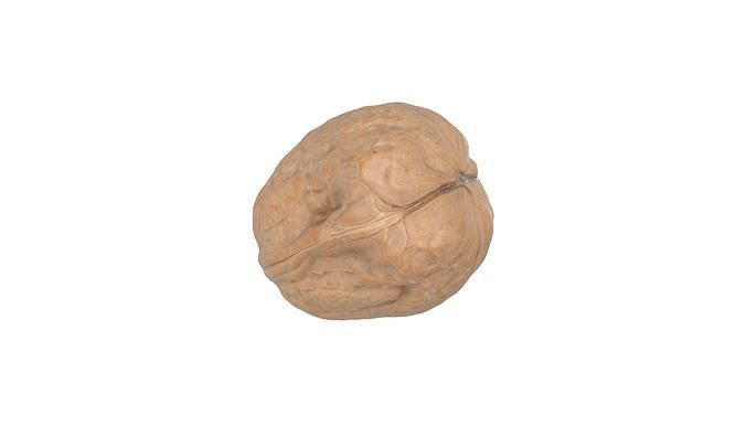 Photorealistic Walnut 3D Model Photoscan 3D model 2