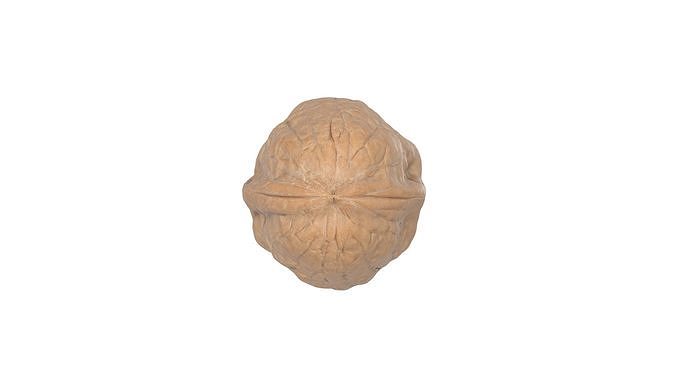 Photorealistic Walnut 3D Model Photoscan 3D model 7