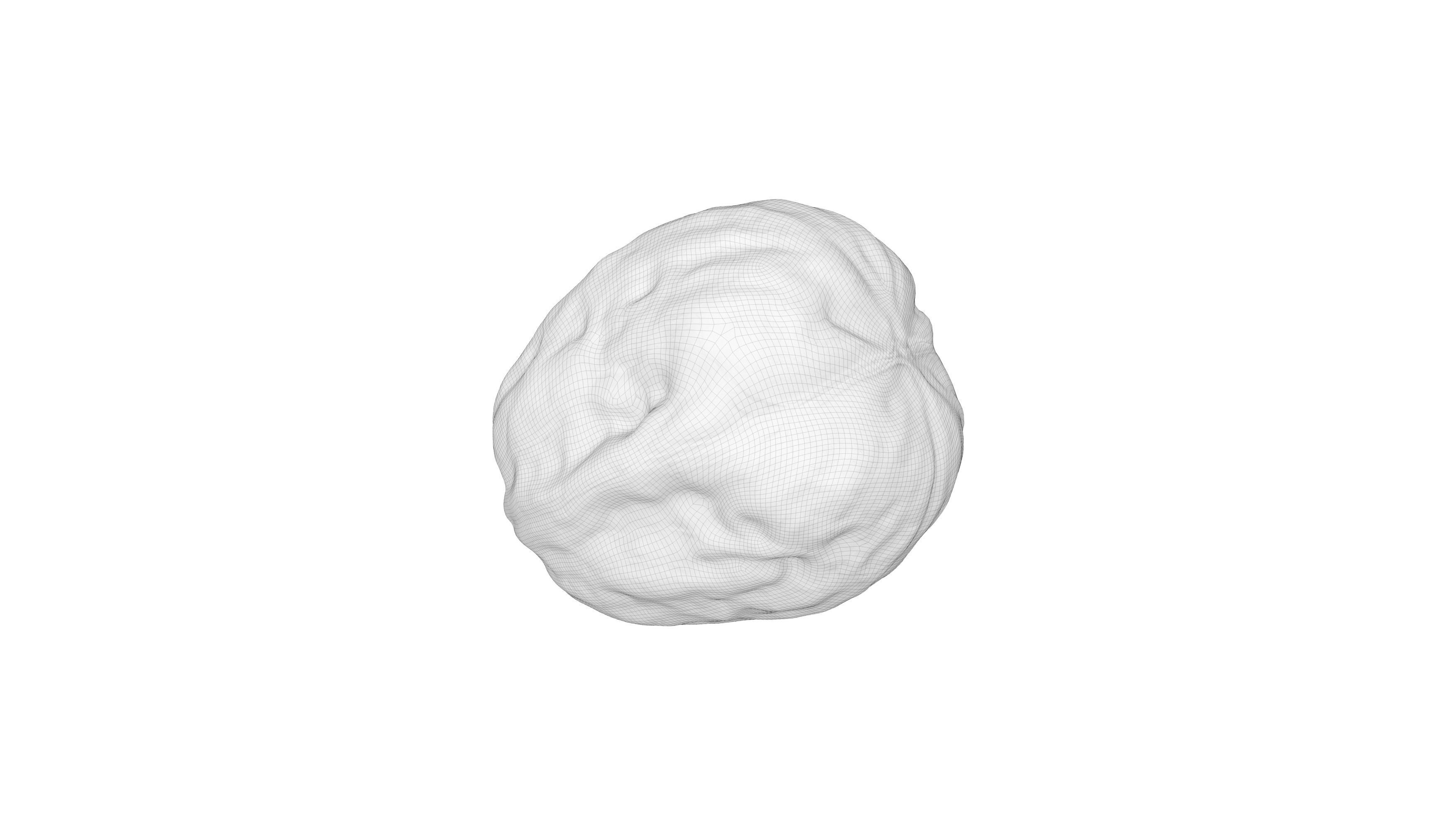 Photorealistic Walnut 3D Model Photoscan 3D model_13