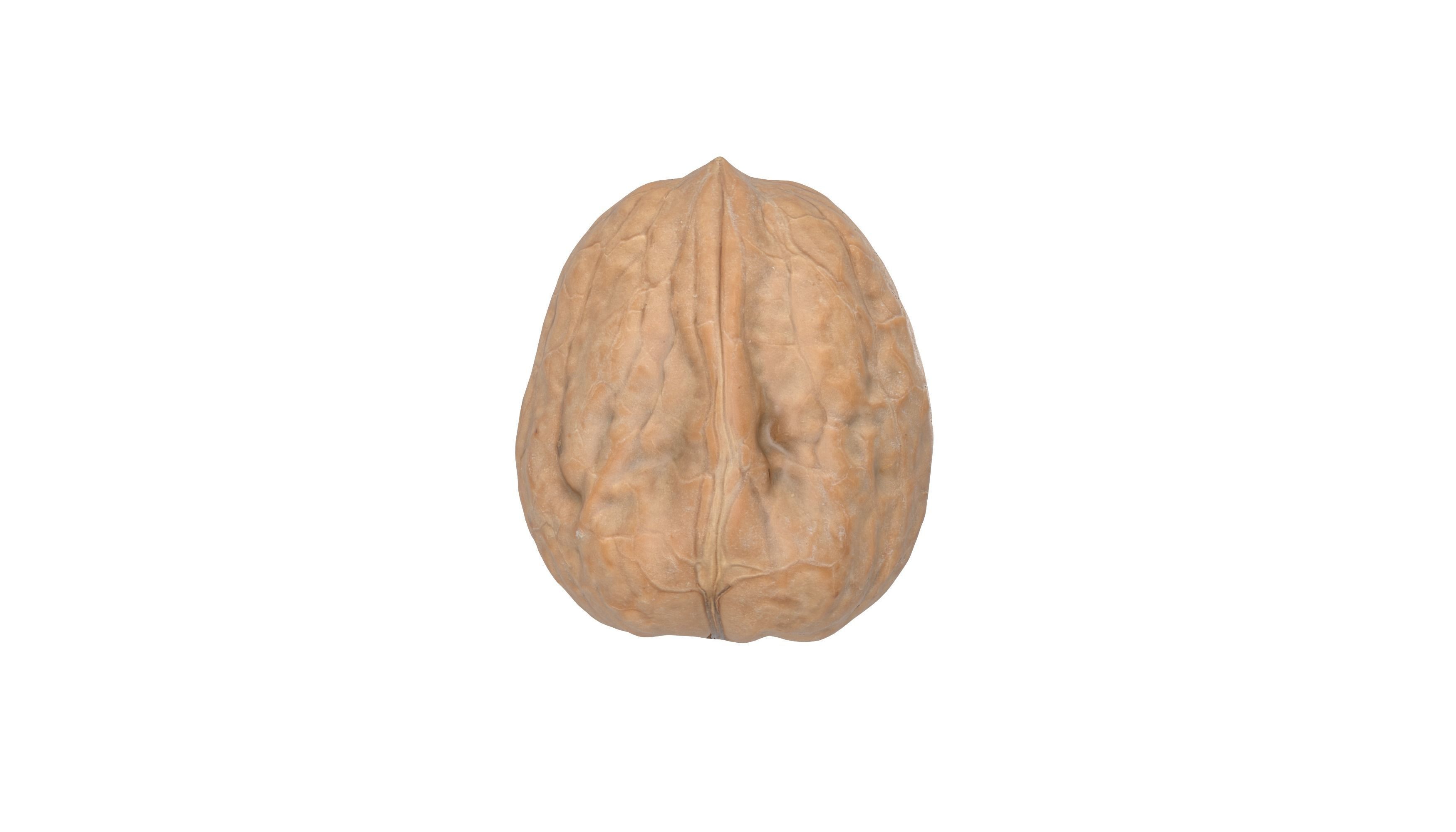 Photorealistic Walnut 3D Model Photoscan 3D model_3