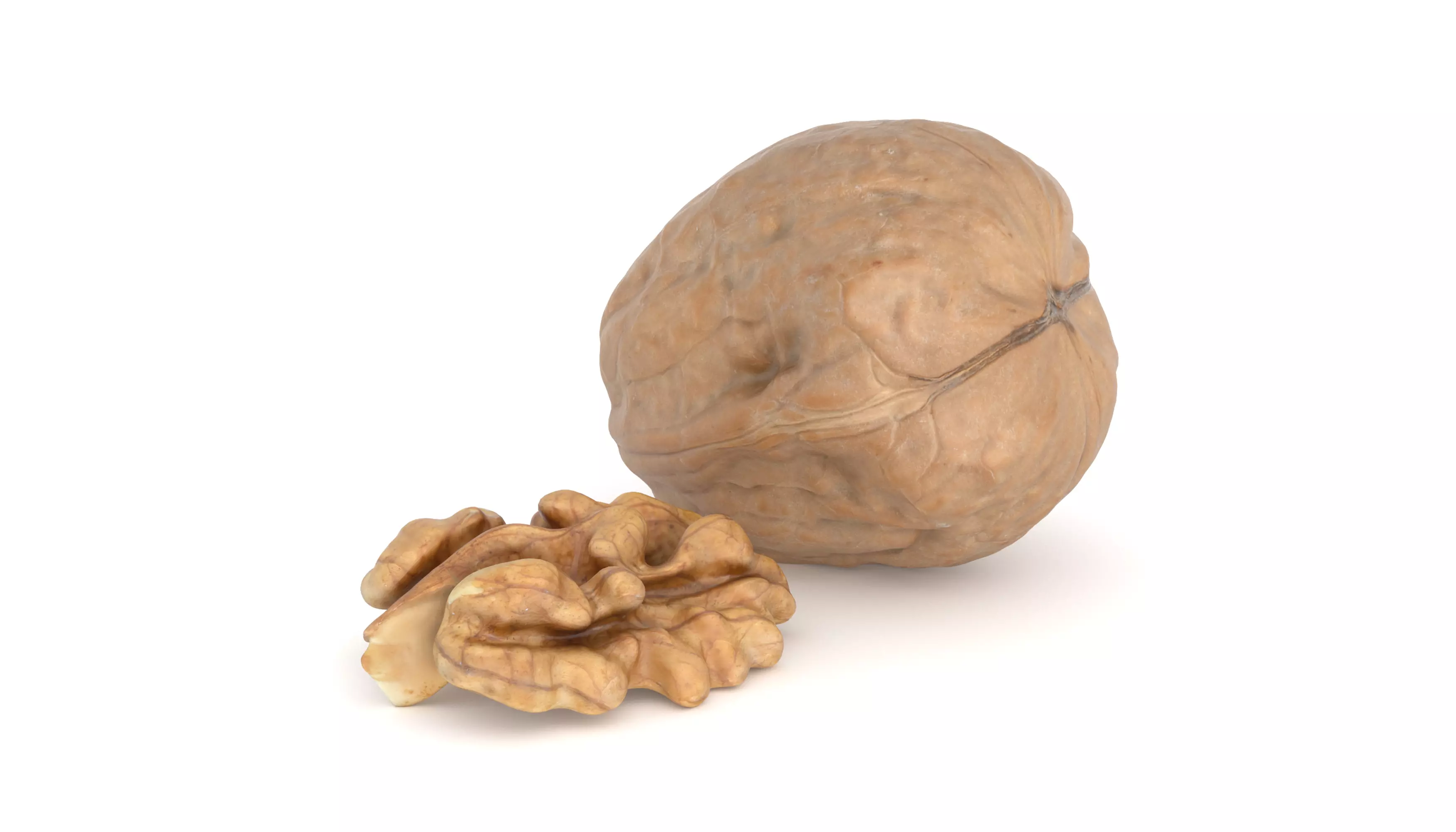 Photorealistic Walnut 3D Model Photoscan 3D model_0