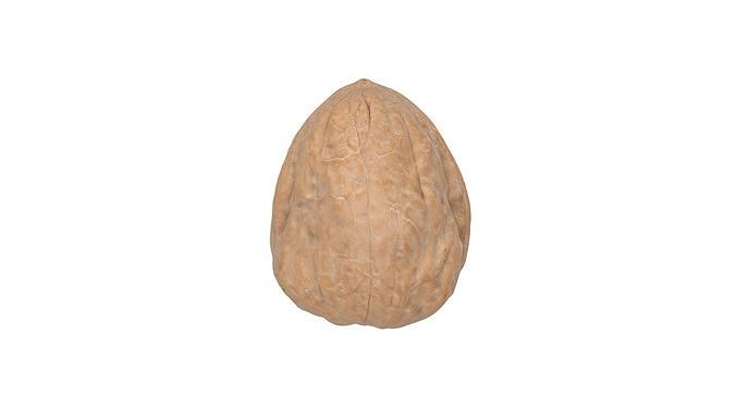Photorealistic Walnut 3D Model Photoscan 3D model 5