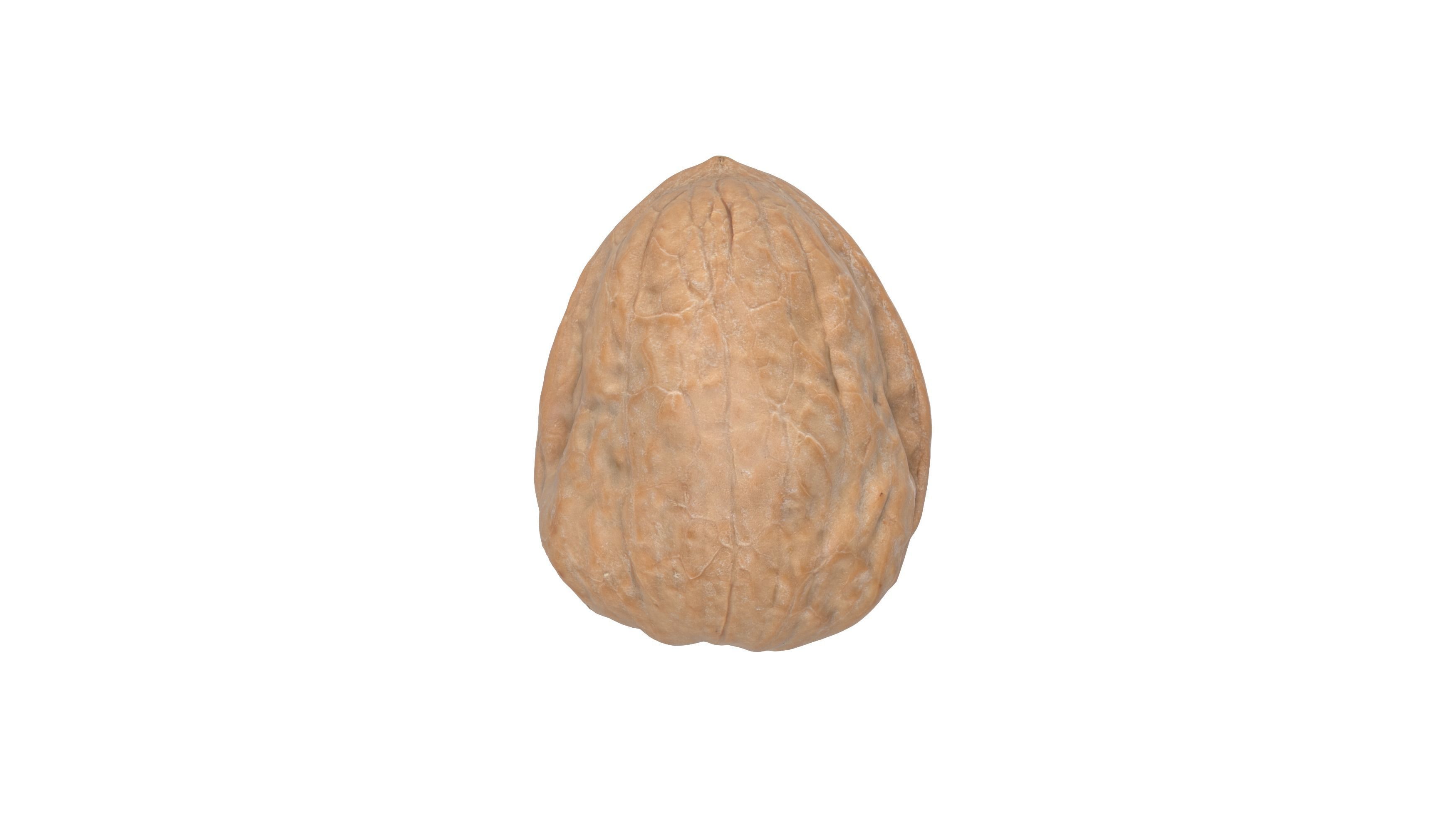 Photorealistic Walnut 3D Model Photoscan 3D model_4