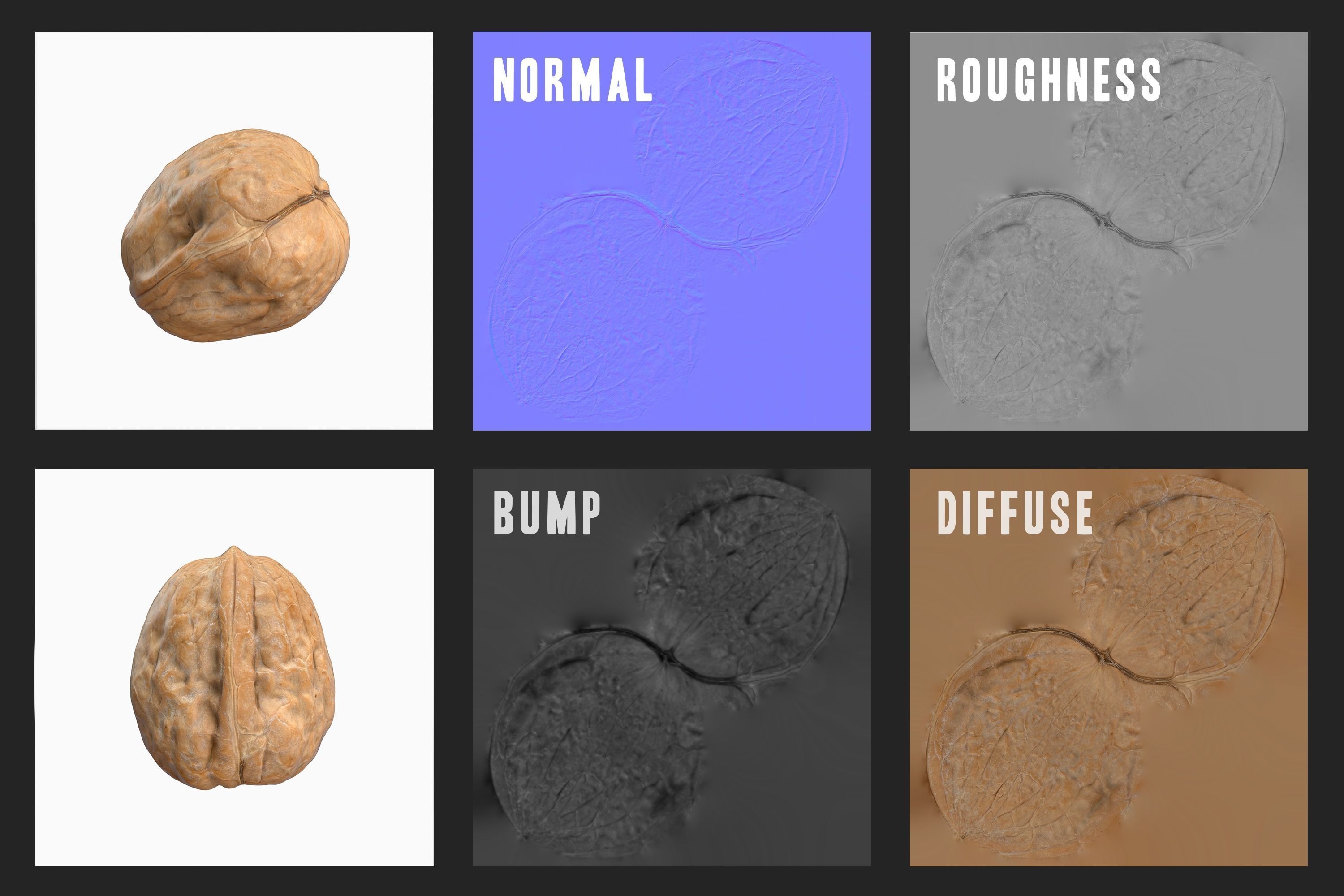 Photorealistic Walnut 3D Model Photoscan 3D model_16