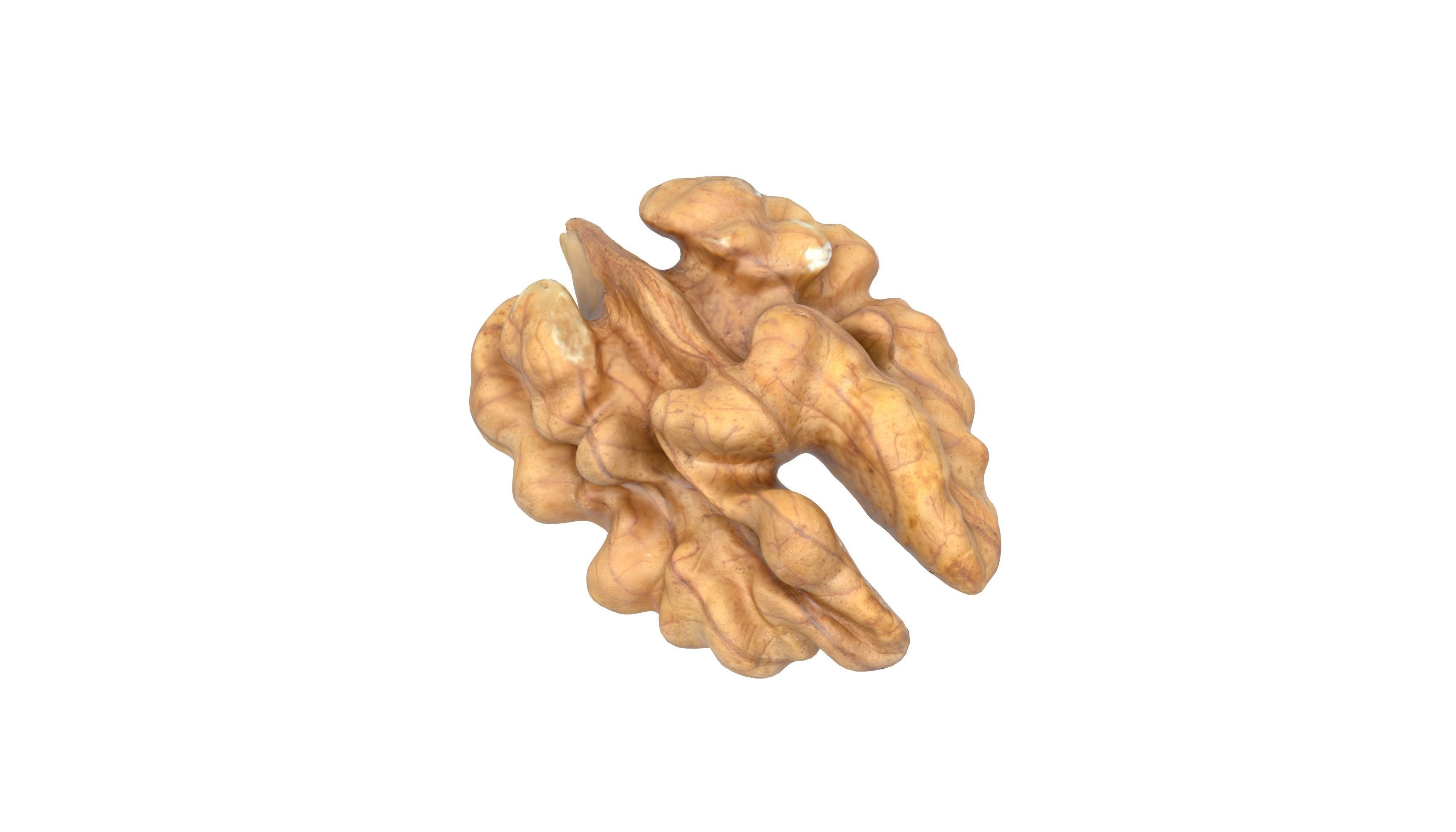 Photorealistic Walnut 3D Model Photoscan 3D model_8