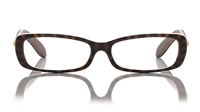 Eyeglasses for Men and Women 3D print model