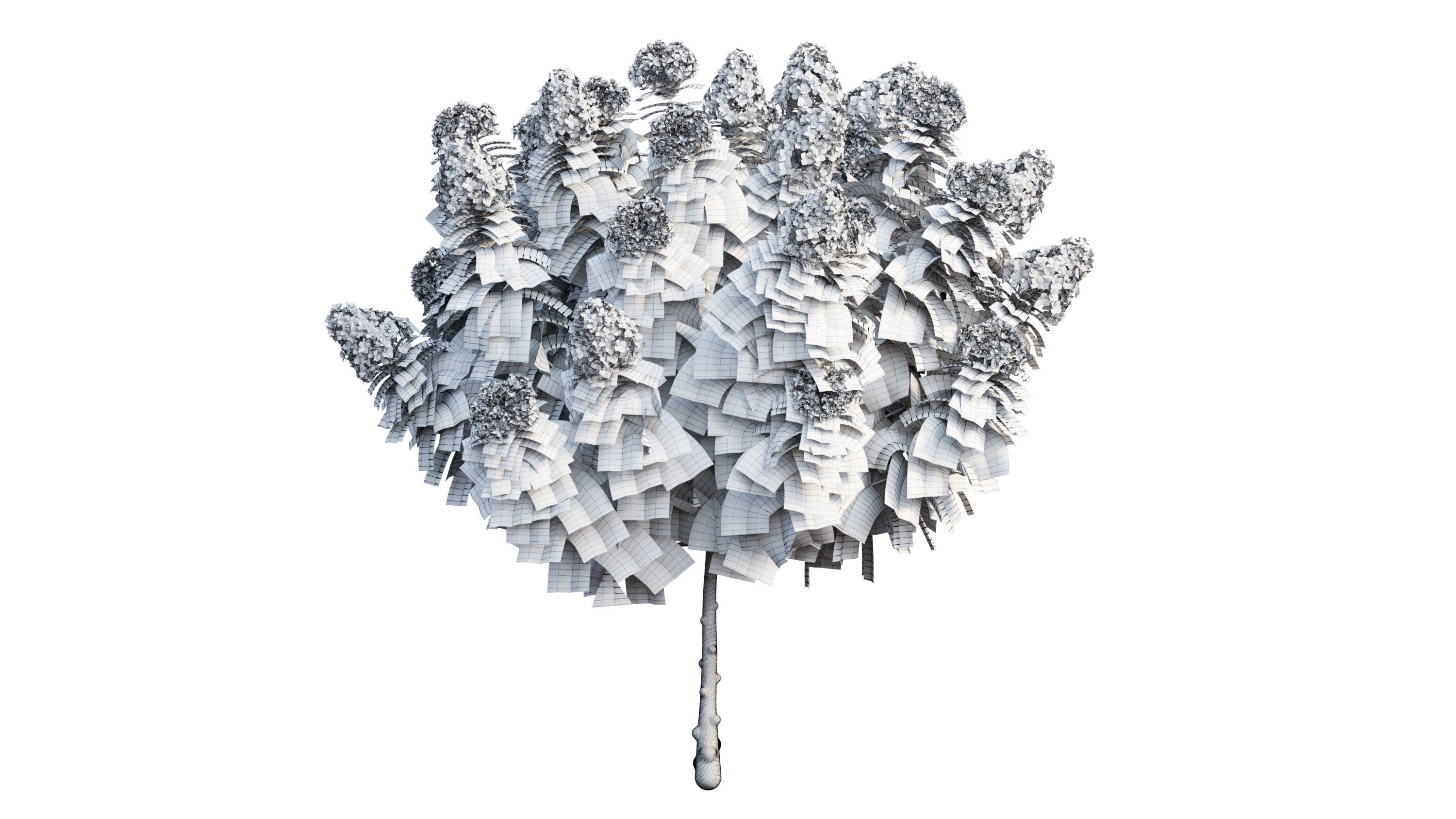 Plants Hydrangea set 11  3D model_37