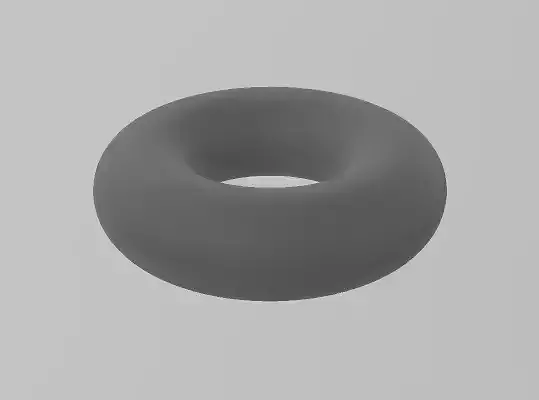 Torus donut ring