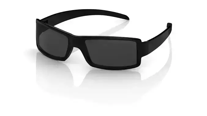 Eyeglasses for Men and Women 3D print model