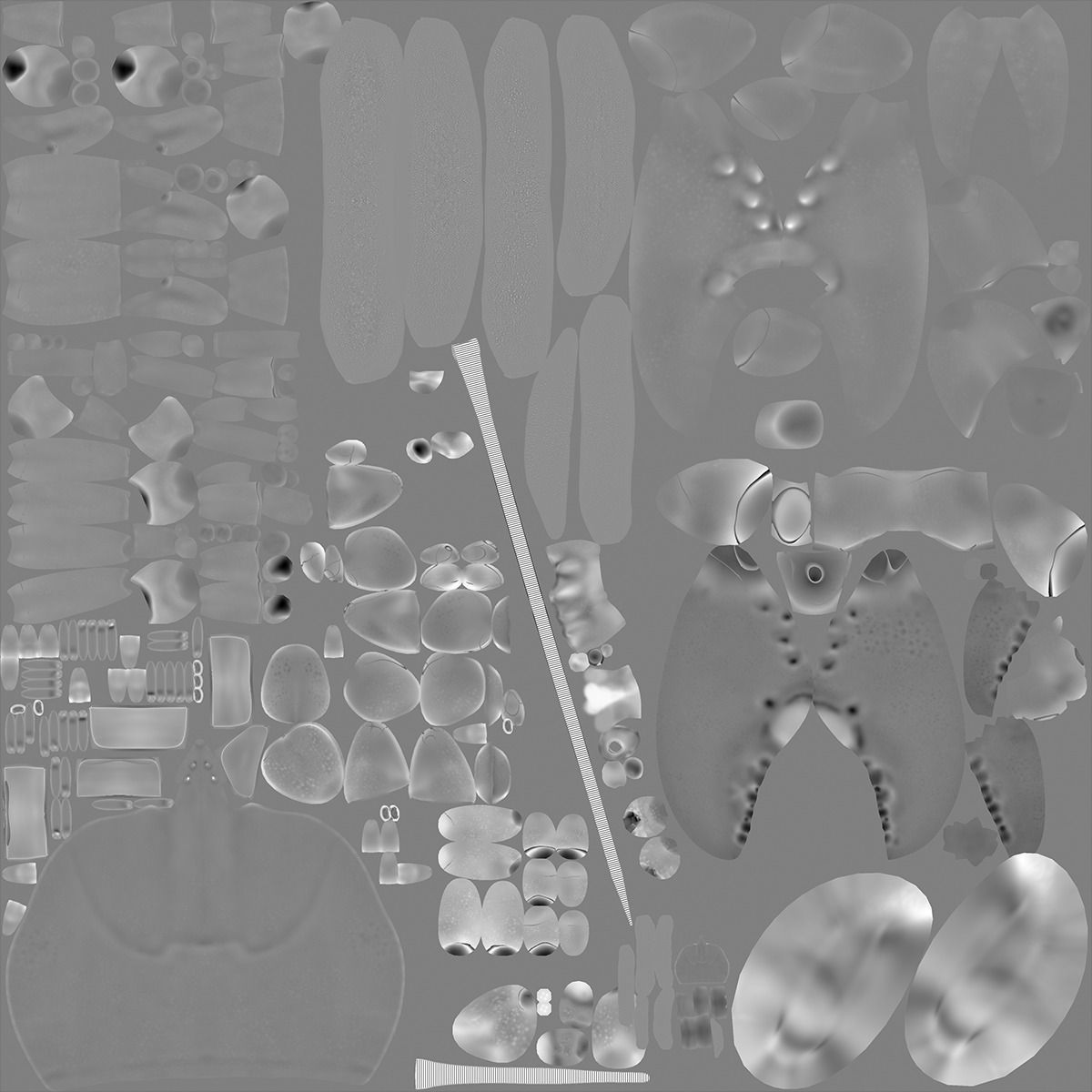 lobster crayfish 3D model_13