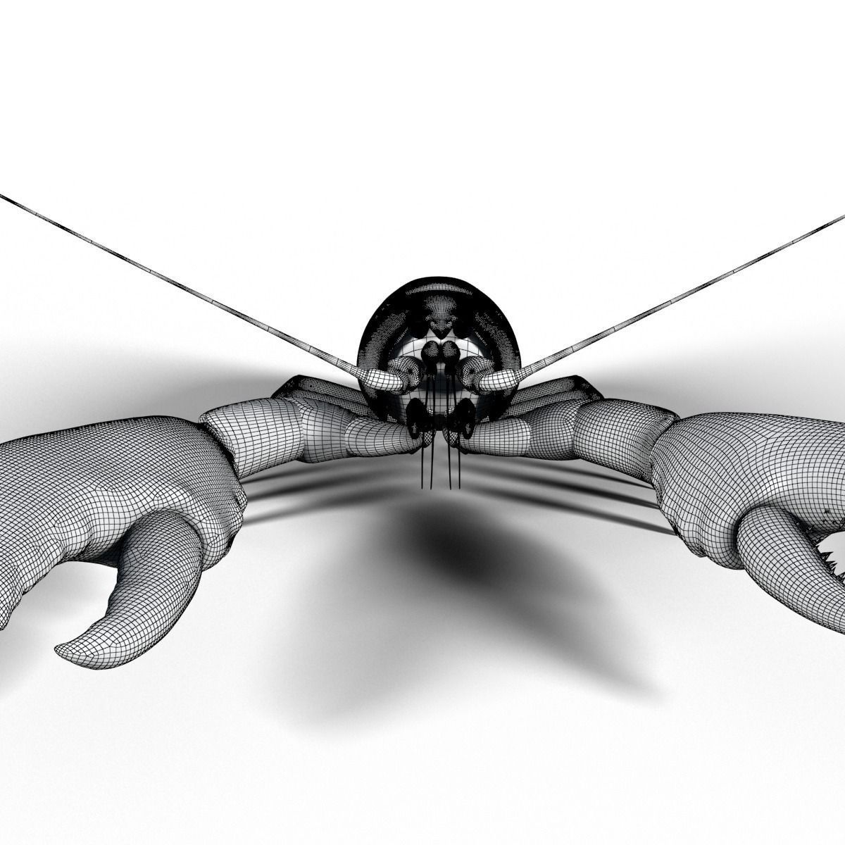 lobster crayfish 3D model_10