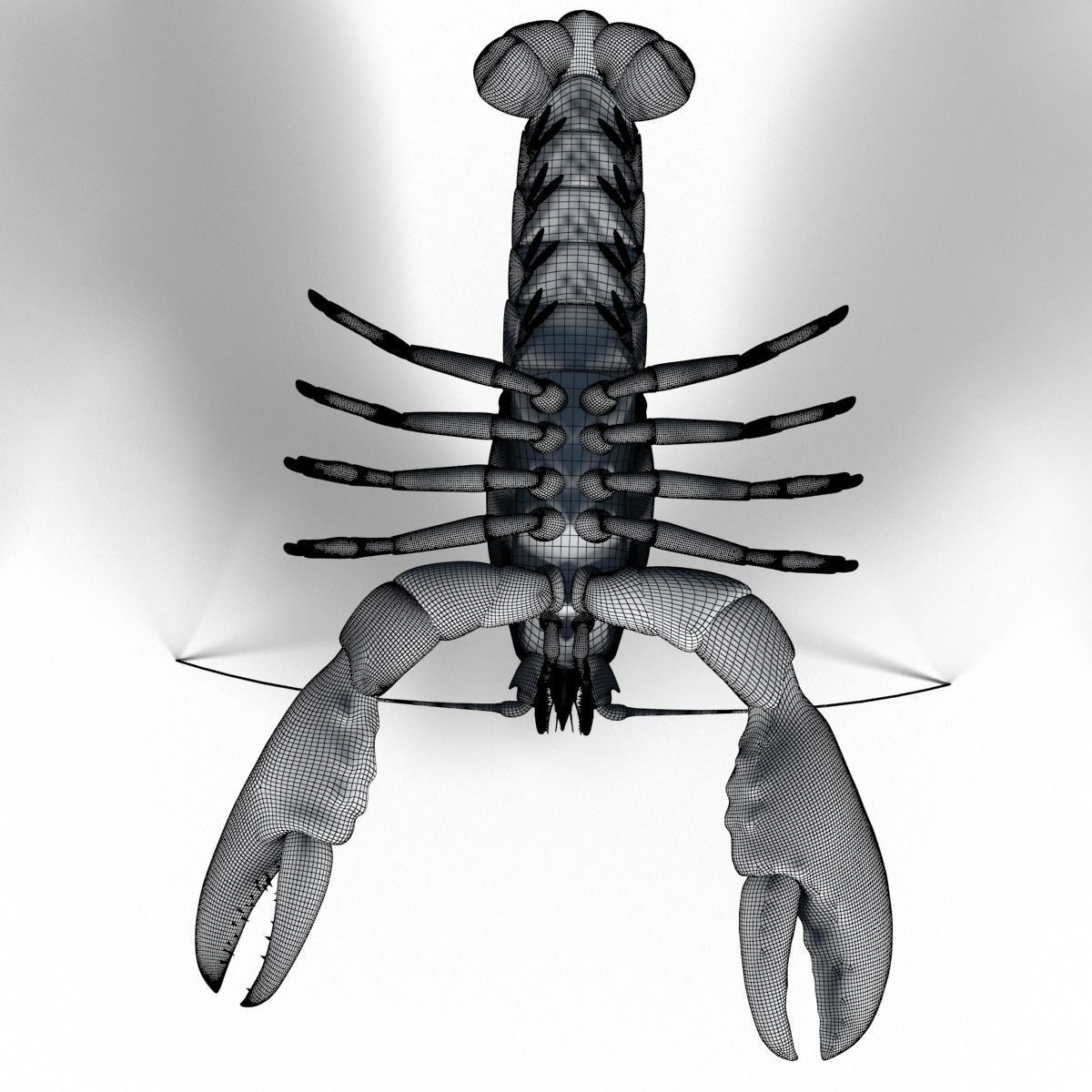 lobster crayfish 3D model_9